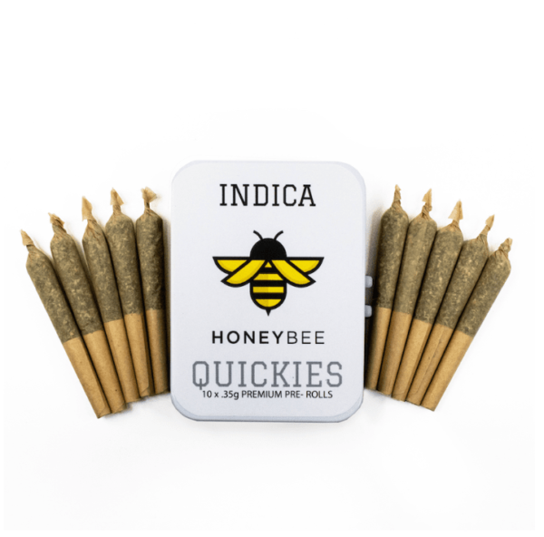 10 Pack Premium Quickies Honeybee - Indica