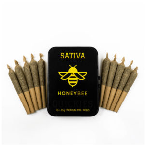 10 Pack Premium Quickies Honeybee - Sativa