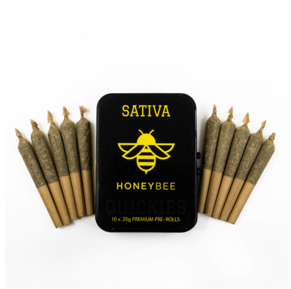 10 Pack Premium Quickies Honeybee - Sativa
