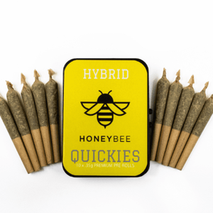 10 Pack Premium Quickies Honeybee - Hybrid