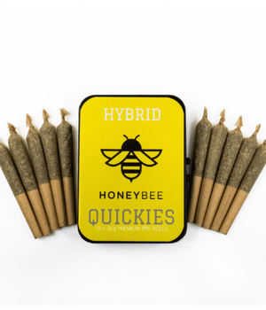 10 Pack Premium Quickies Honeybee - Hybrid