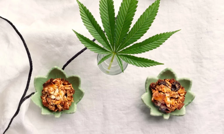 Unleash the Power of THC and CBD Edibles: Discover Our Variety and Benefits